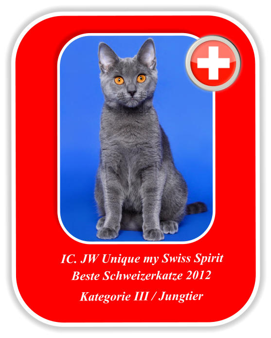Beste Schweizerkatze 2012  Kategorie III / Jungtier   IC. JW Unique my Swiss Spirit
