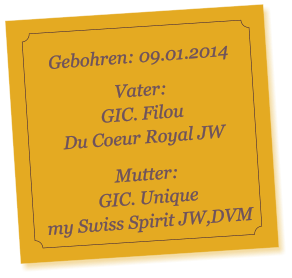Gebohren: 09.01.2014  Vater: GIC. Filou  Du Coeur Royal JW  Mutter:  GIC. Unique  my Swiss Spirit JW,DVM